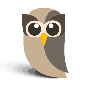 Hootsuite Logo